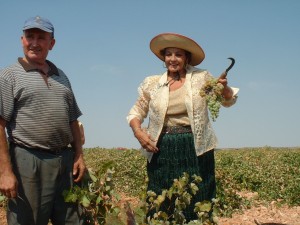 Carmen sevilla vendimia